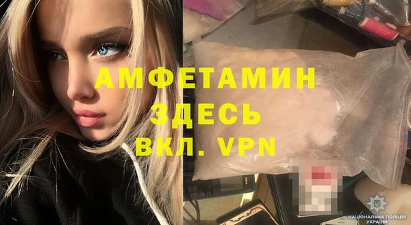 хмурый Арсеньев