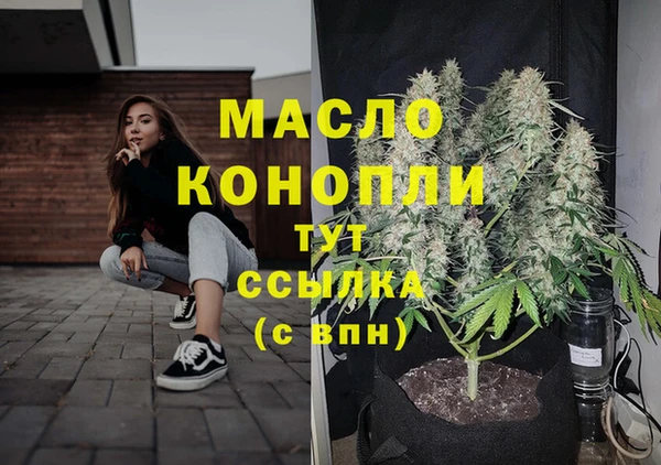 хмурый Арсеньев