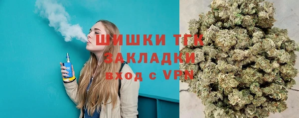 хмурый Арсеньев