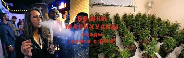 хмурый Арсеньев