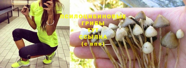 таблы Аркадак