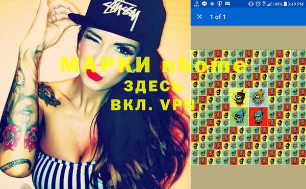 хмурый Арсеньев